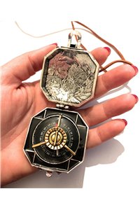 Bussola che punta al nord pirati