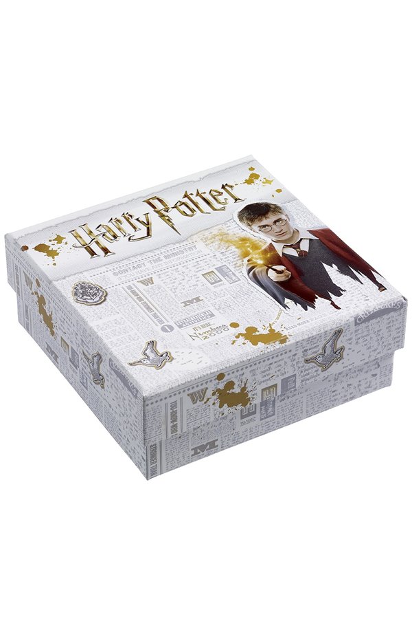 Gemelli Stemma Hogwarts Ufficiali Harry Potter 2