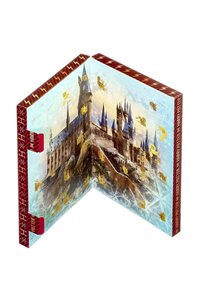 Calendario dell'Avvento Harry Potter 24 Gadgets