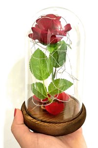 Lampada Teca La Rosa Incantata