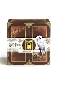 Calendario dell'Avvento Pozioni Harry Potter
