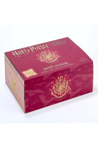 Calendario Avvento Harry Potter: Gioielli e Accessori Unici