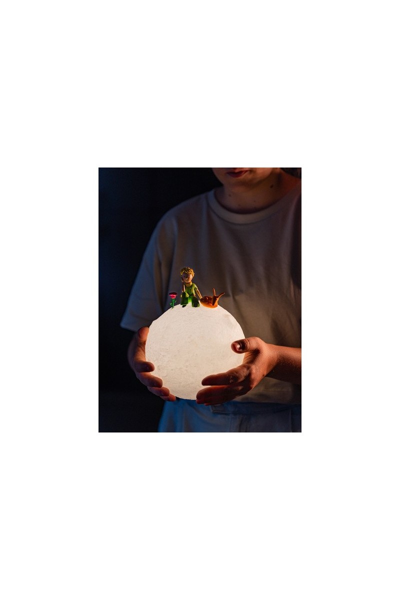 Lampada Il Piccolo Principe: Magia e Stile per Te!