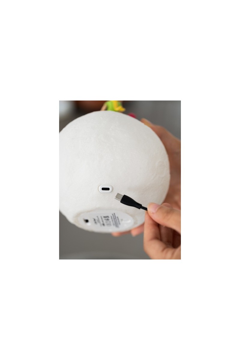 Lampada Il Piccolo Principe: Magia e Stile per Te!