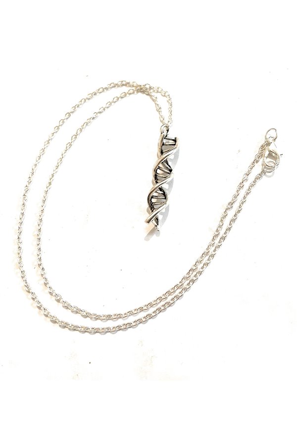 Collana DNA Molecola anatomia 2